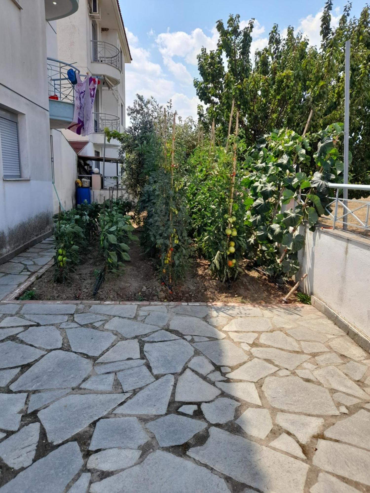 Dominikis Appartment Néa Péramos Εξωτερικό φωτογραφία